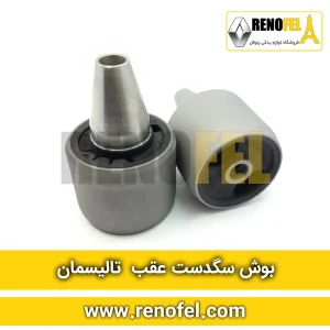 بوش سگدست عقب تالیسمان