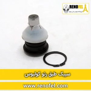 سیبک طبق رنو کولیوس